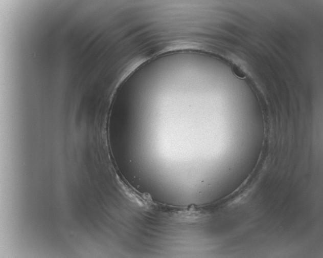 X0000063481137200602031919