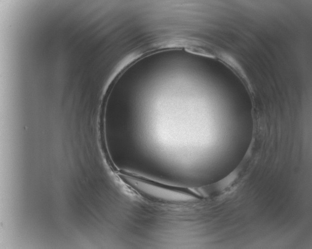 X0000063481138200602031919