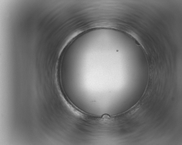 X0000063481139200602031919