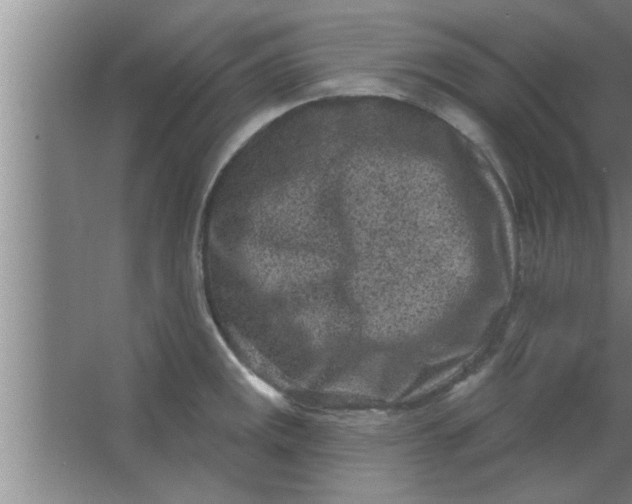 X0000063481141200602031919