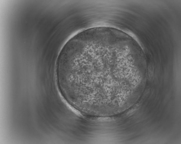 X0000063481142200602031919