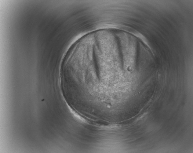 X0000063481143200602031919