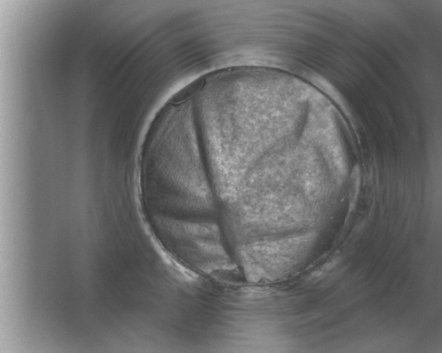 X0000063481144200602031919