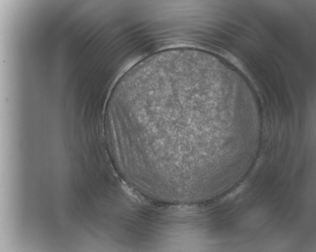 X0000063481145200602031919