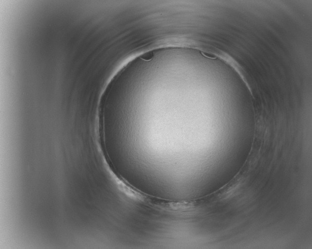 X0000063481147200602031919