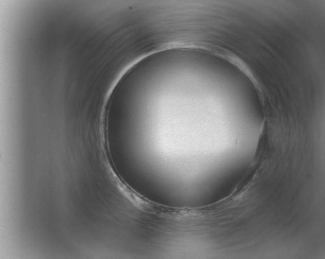 X0000063481148200602031919