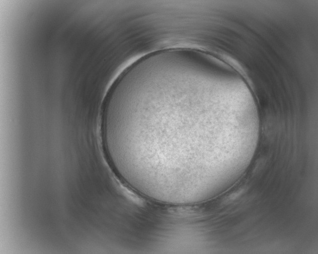 X0000063481149200602031919