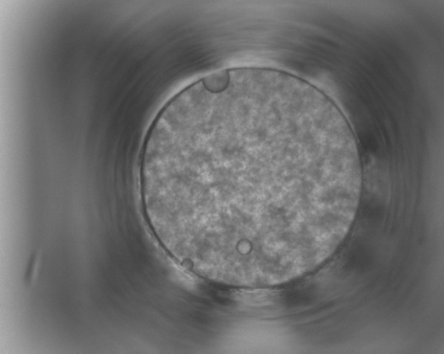 X0000063481150200602031919