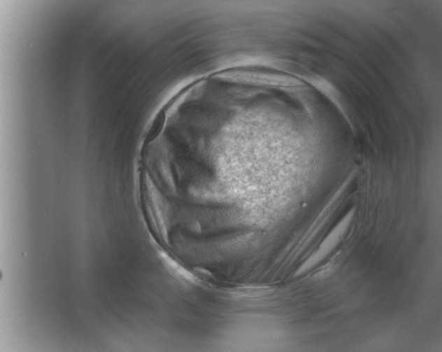 X0000063481151200602031919