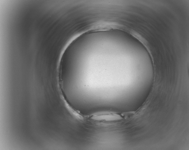 X0000063481152200602031919