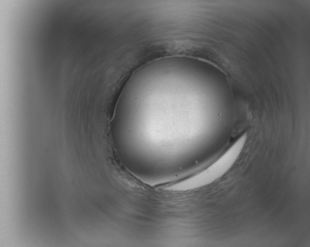 X0000063481153200602031918