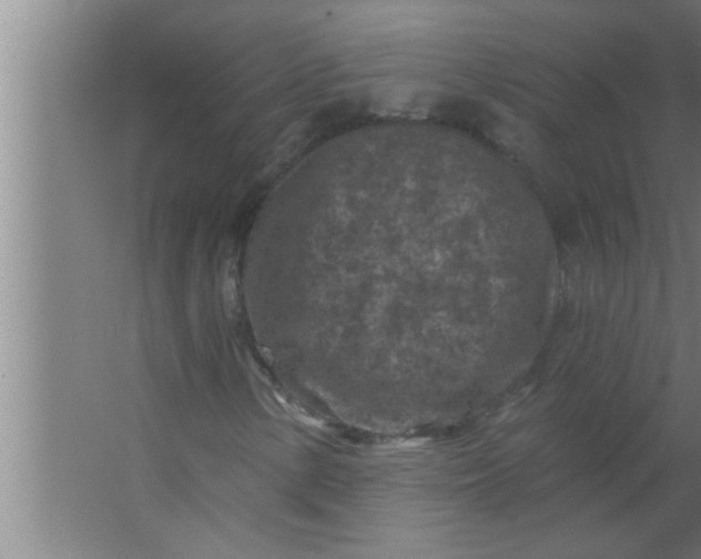 X0000063481154200602031918