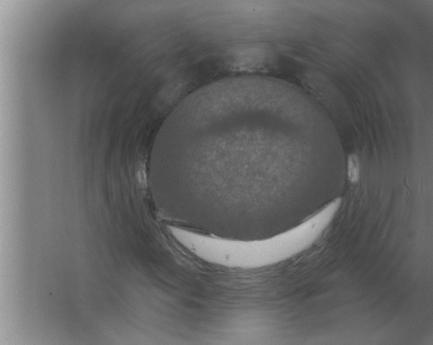 X0000063481155200602031918