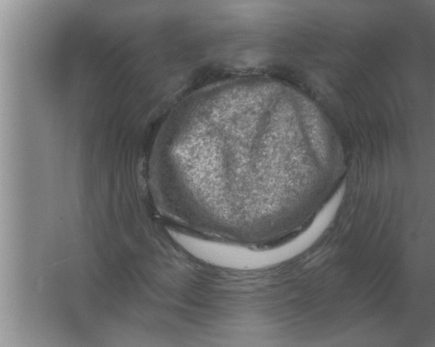 X0000063481156200602031918