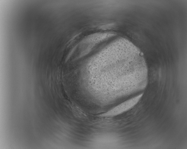 X0000063481158200602031918