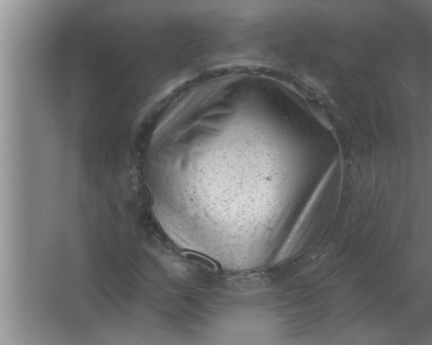 X0000063481159200602031918