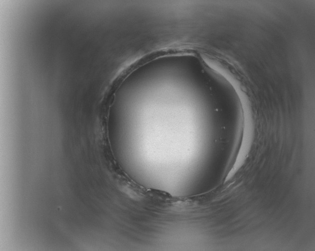 X0000063481160200602031918