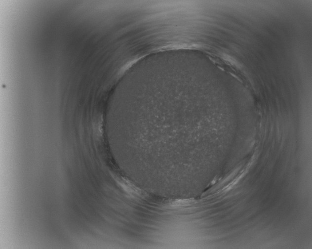 X0000063481161200602031918