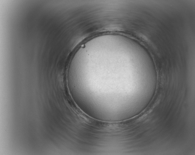 X0000063481162200602031918