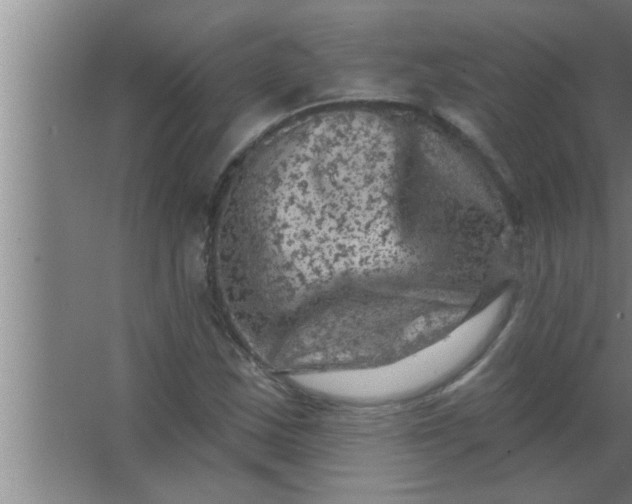 X0000063481163200602031918