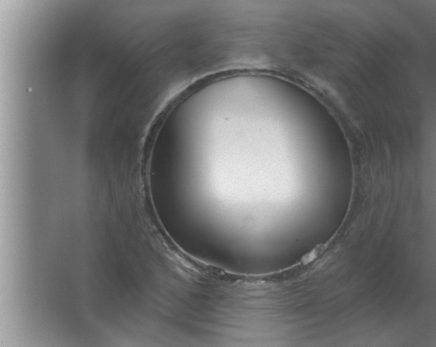 X0000063481168200602031918