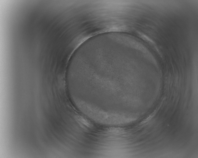 X0000063481170200602031918