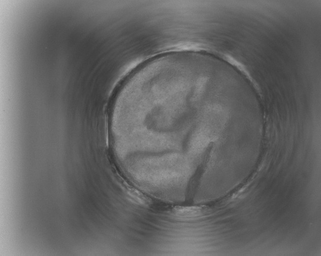 X0000063481171200602031918