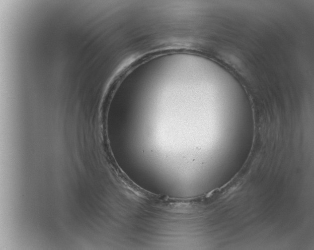 X0000063481172200602031918