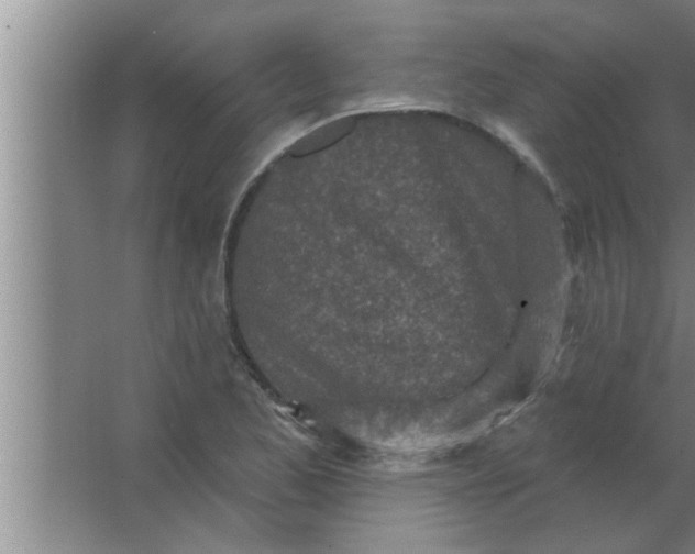 X0000063481173200602031918