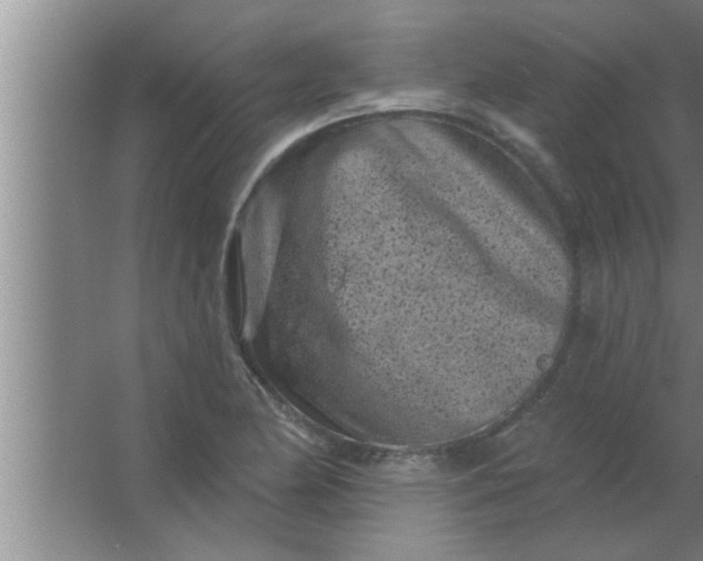 X0000063481174200602031918