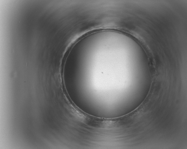 X0000063481176200602031918