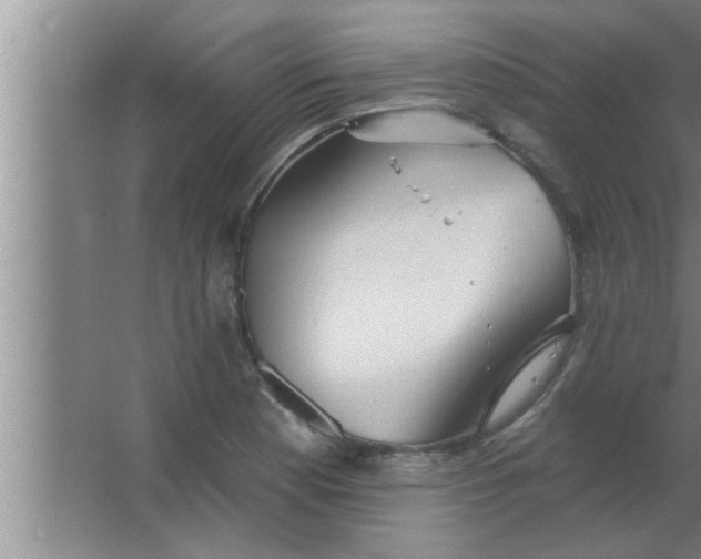 X0000063481177200602031918