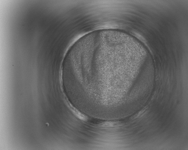 X0000063481179200602031918