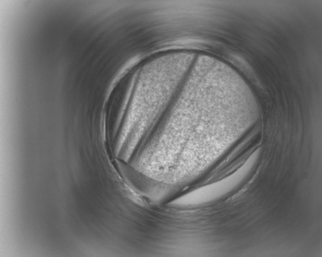 X0000063481180200602031918