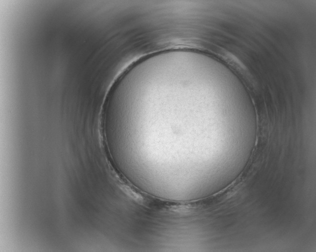 X0000063481182200602031918