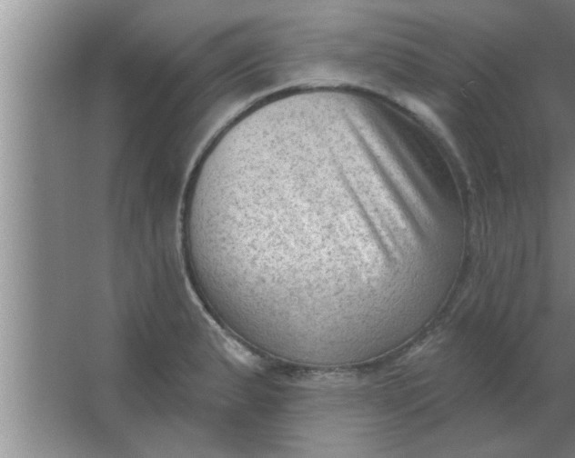 X0000063481183200602031918