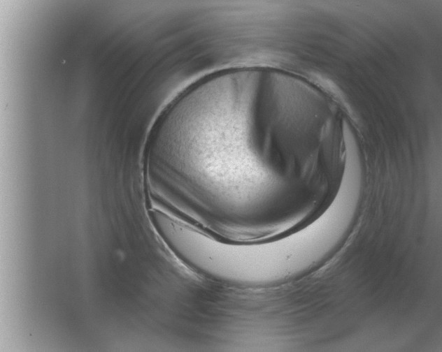 X0000063481184200602031918