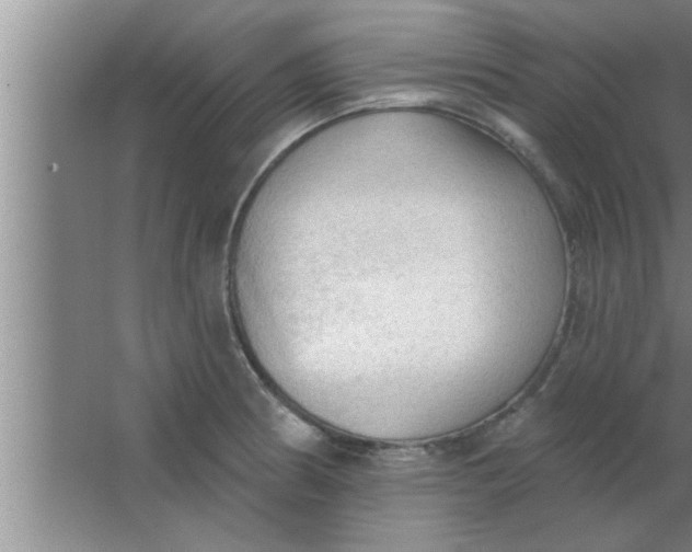 X0000063481186200602031918