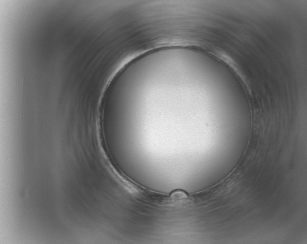 X0000063481187200602031918