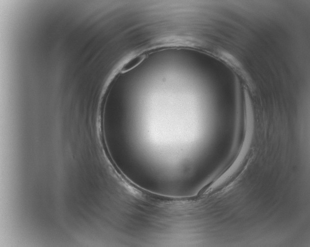 X0000063481188200602031918