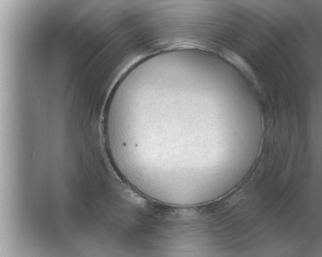 X0000063481190200602031918