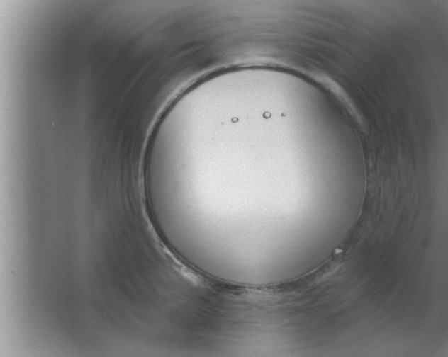 X0000063481191200602031918