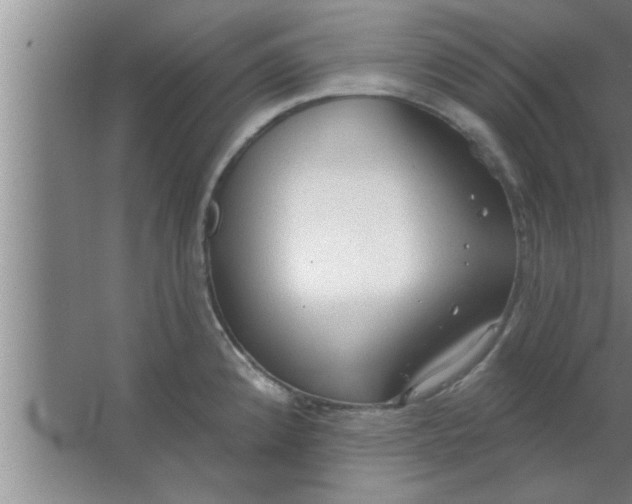 X0000063481192200602031917