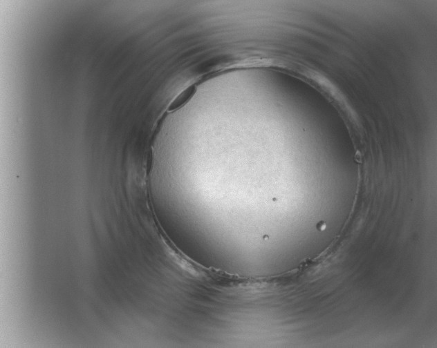 X0000063481193200602031917