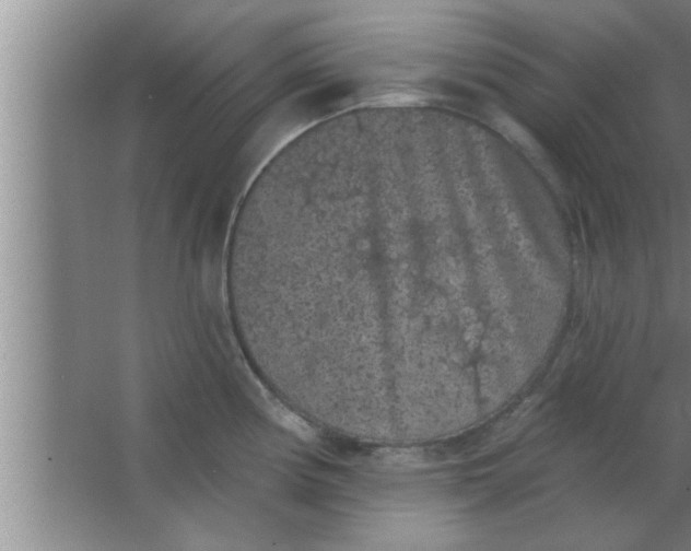 X0000063481194200602031917