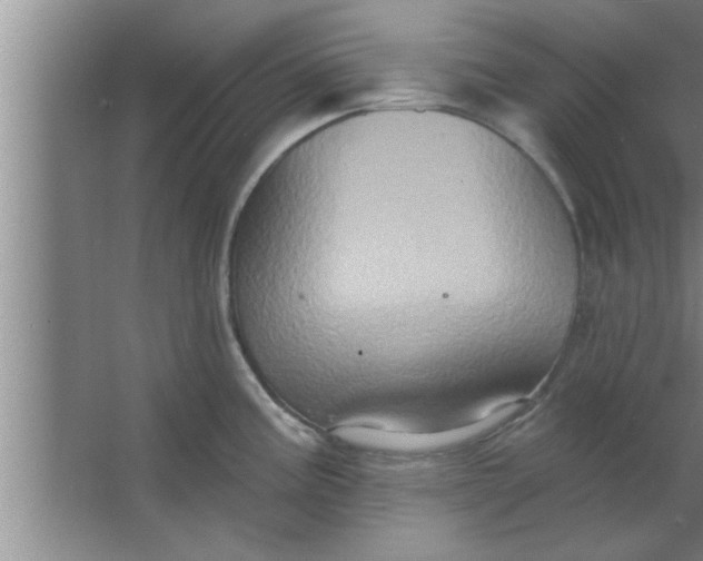 X0000063481195200602031917