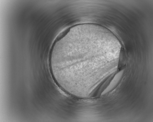 X0000063481197200602031917