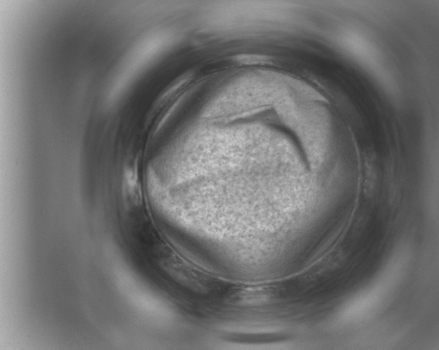 X0000063481198200602031917