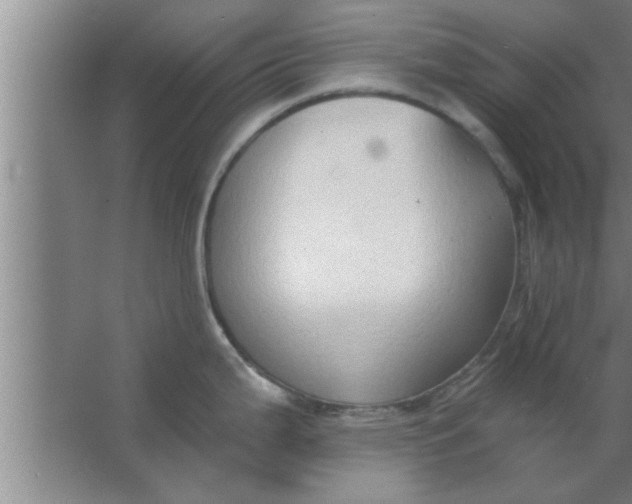 X0000063481199200602031917