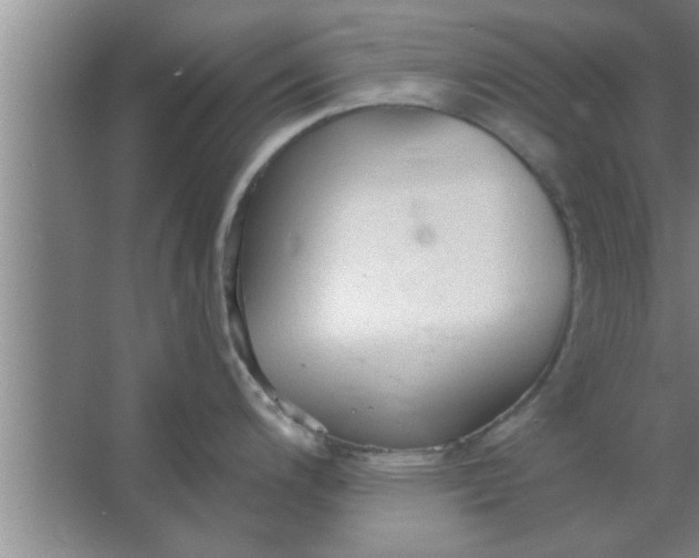 X0000063481200200602031917